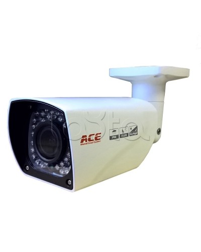 IP-камера видеонаблюдения уличная EverFocus ACE-AAV50SHD в Октябрьском Аналоговые камеры Pintop.ru