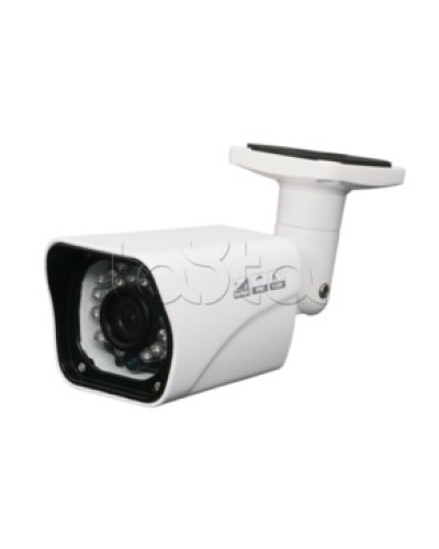 Камера видеонаблюдения в стандартном исполнении EverFocus ACE-ABB20XHD в Октябрьском Аналоговые камеры Pintop.ru