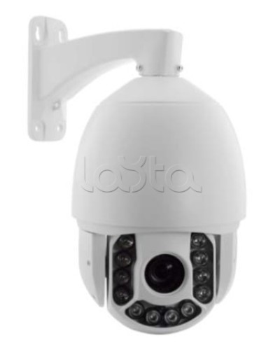 IP-камера видеонаблюдения купольная EverFocus ACE-ATE2033 в Октябрьском IP-камеры Pintop.ru