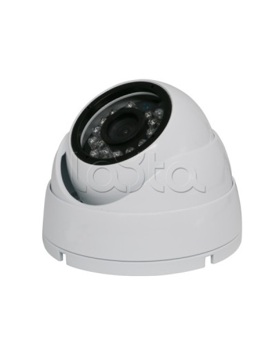 Камера видеонаблюдения купольная EverFocus ACE-IAB20XHD в Октябрьском Аналоговые камеры Pintop.ru