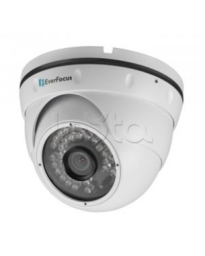 IP-камера видеонаблюдения купольная EverFocus ACE-IAV30 в Октябрьском IP-камеры Pintop.ru