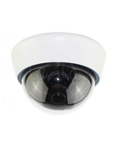 IP-камера видеонаблюдения купольная EverFocus ACE-IOV20A в Октябрьском IP-камеры Pintop.ru