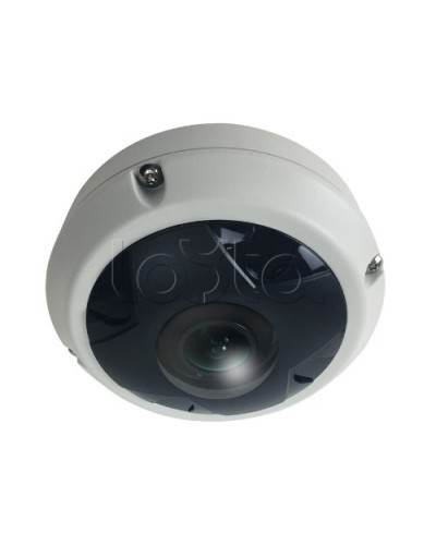 IP-камера видеонаблюдения купольная EverFocus ACE-KU89F в Октябрьском IP-камеры Pintop.ru