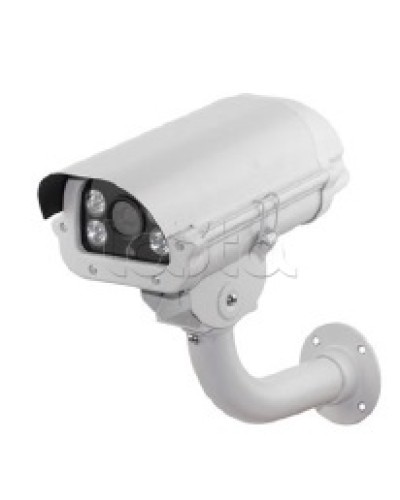 IP-камера видеонаблюдения в стандартном исполнении EverFocus ACE-PAV20F в Октябрьском IP-камеры Pintop.ru