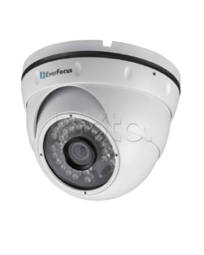 IP-камера видеонаблюдения уличная купольная EverFocus EBN-268 в Октябрьском IP-камеры Pintop.ru