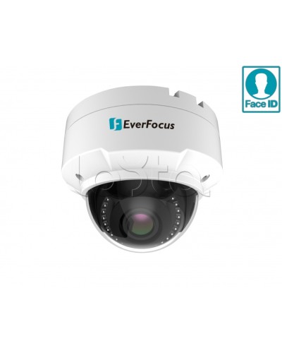 IP-камера видеонаблюдения купольная EverFocus EHN-2550 в Октябрьском IP-камеры Pintop.ru