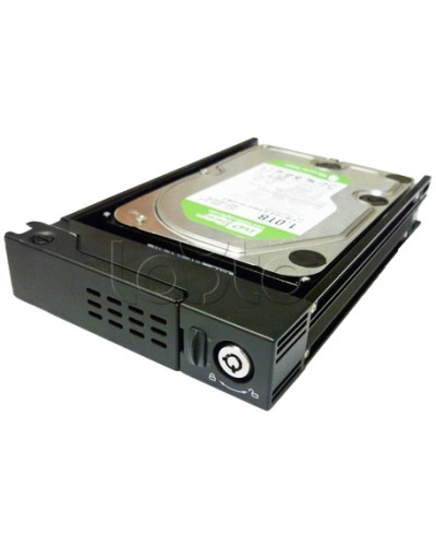 Лоток для HDD 2.5 к EMV40 EverFocus Лоток 2.5 (EMV400) в Октябрьском Жесткие диски (HDD) Pintop.ru