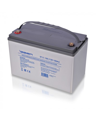 Батарея для ИБП Ippon IP12-100 в Октябрьском Электротехническое оборудование Pintop.ru