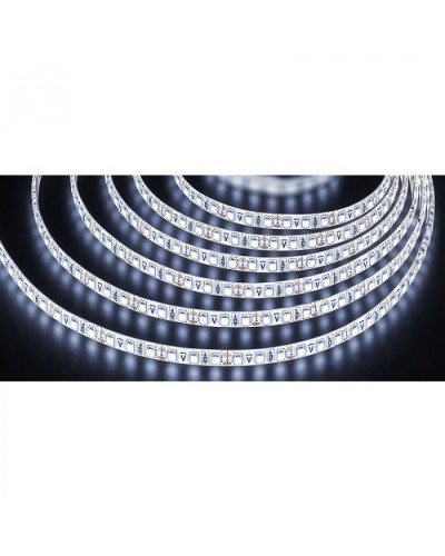 Лента светодиодная Navigator 71 706 NLS-3528CW120-9.6-IP65-12V-Pro R5 в Октябрьском Источники света(Лампы) Pintop.ru