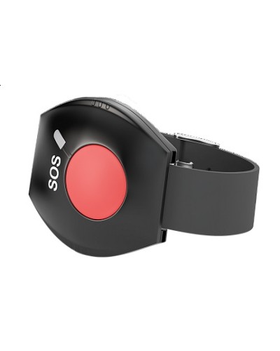 «BRC-L» 868 МГц чёрный Контакт GSM в Октябрьском Системы передачи извещений Pintop.ru