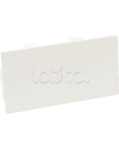 Заглушка торцевая для кабельного канала 100х50 SPL 100002S в Октябрьском Аксессуары для кабель-канала Pintop.ru