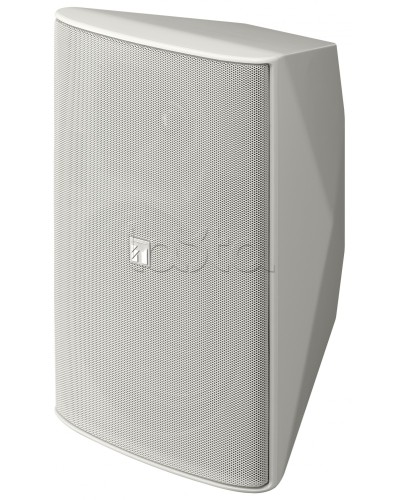 Громкоговоритель 2 полосный TOA F-2000 WT в Октябрьском Системы оповещения и трансляции TOA Pintop.ru