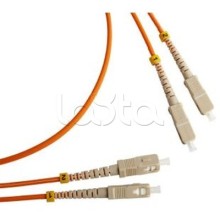 Патч-корд оптический TWT-2ST-2LC/OM1-1.0