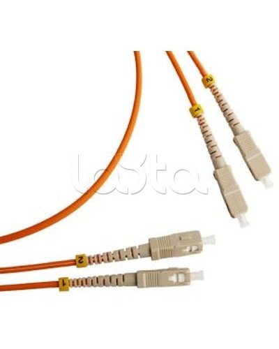 Патч-корд оптический TWT-2ST-2LC/OM1-3.0 в Октябрьском Патч-корды оптические Pintop.ru