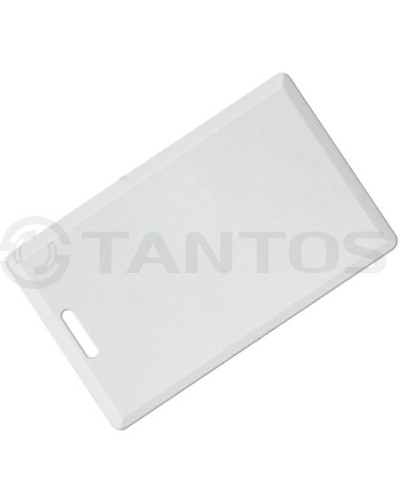 Карта толстая формата Temic Tantos Temic (толстая) TS в Октябрьском Оптовые идентификаторы Pintop.ru