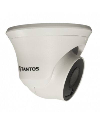 IP-видеокамера в купольном исполнении уличная Tantos TSi-Beco45FP в Октябрьском IP-камеры Pintop.ru