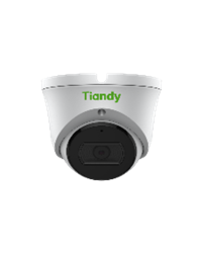 Уличная купольная IP-камера Tiandy TC-C32XN Spec:I3/E/Y/M/2.8mm/V4.1 в Октябрьском IP-камеры Pintop.ru