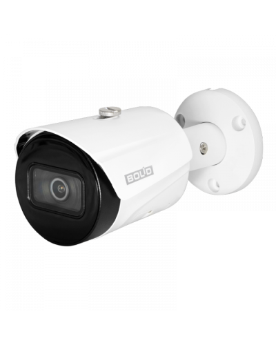 IP-камера видеонаблюдения в стандартном исполнении Болид VCI-122 в Октябрьском IP-камеры Pintop.ru