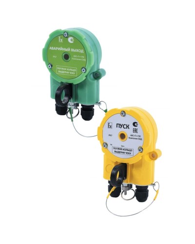 Извещатель Эрвист УДП 535 Халзан П АВАРИЙНЫЙ ВЫХОД в Октябрьском Пожарные извещатели Pintop.ru