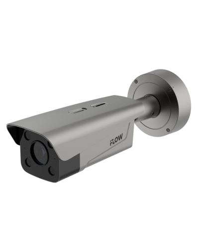 IP-камера iFlow F-TA-M21-GI1/2812 в Октябрьском IP-камеры Pintop.ru