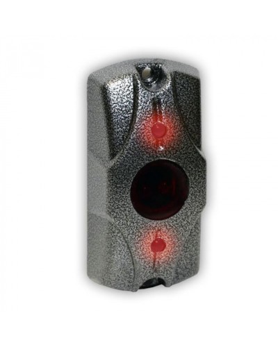 Олевс ЦИКЛОП ИК серебряный антик в Октябрьском Электромагнитные замки Pintop.ru