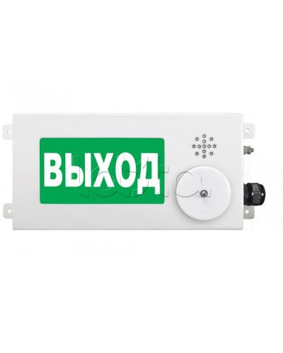 Табло световое взрывозащищенное Спектрон ТСВ-Exi-М-Прометей-МИНИ 12-36В в Октябрьском Оповещатели Ex Pintop.ru