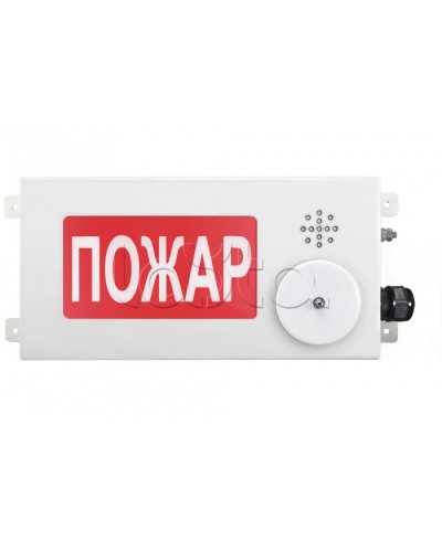 Табло светозвуковое взрывозащищенное Спектрон ТСЗВ-Exi-М-Прометей-МИНИ 12-36В в Октябрьском Оповещатели Ex Pintop.ru