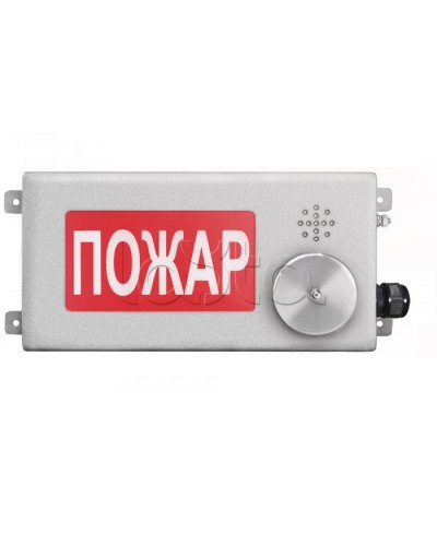 Табло светозвуковое взрывозащищенное Спектрон ТСЗВ-Exm-Н-Прометей-МИНИ 220В в Октябрьском Оповещатели Ex Pintop.ru
