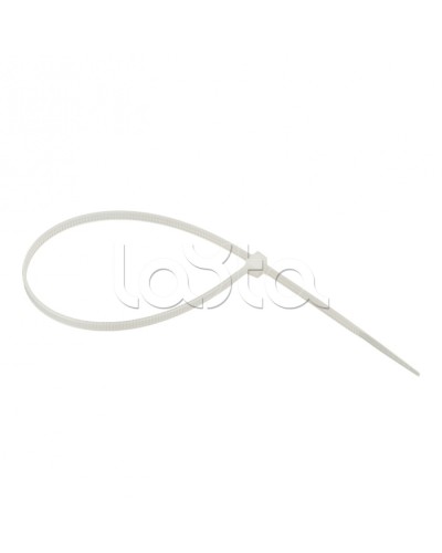 Хомут нейлоновый (3,6х250) (100шт.) EKF Basic (plc-c-3.6x250) в Октябрьском Стяжки-хомуты Pintop.ru