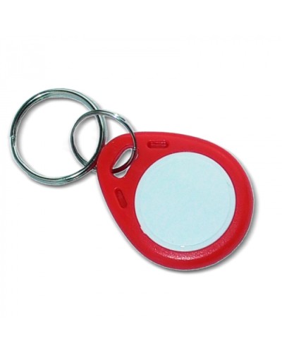 Ключ стандарта Mifare Цифрал КП-1К (брелок) в Октябрьском Оптовые идентификаторы Pintop.ru