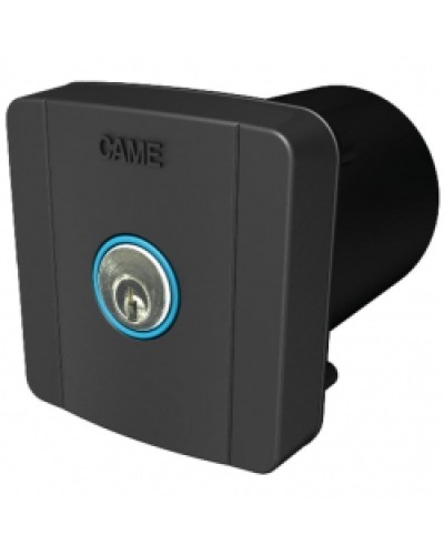 Ключ-выключатель встраиваемый Came 806SL-0020 в Октябрьском Запчасти для шлагбаумов и автоматики Pintop.ru