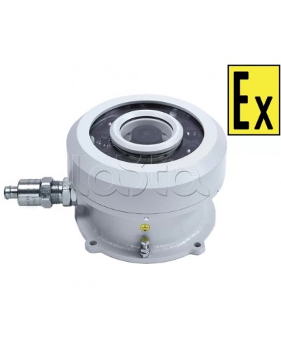 Видеокамера взрывозащищенная Компания СМД Орион МК ВК FishEye-А в Октябрьском Взрывозащищенные камеры Pintop.ru