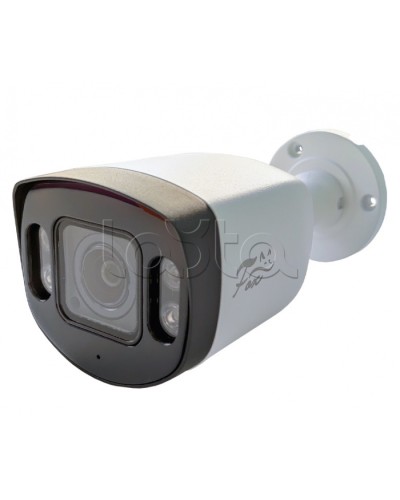 IP-камера видеонаблюдения в стандартном исполнении Fox FX-IPC-C40AP-IR H.265 AI в Октябрьском IP-камеры Pintop.ru