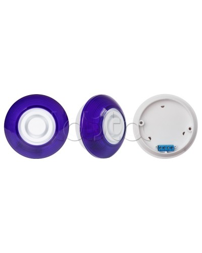 Оповещатель комбинированный SLT Марс 12-КП (строб, син) в Октябрьском Оповещатели Pintop.ru