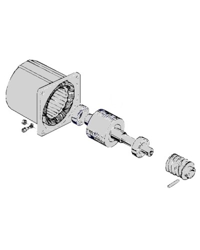 Электродвигатель С-100 Came 119RIC052 в Октябрьском Запчасти для шлагбаумов и автоматики Pintop.ru