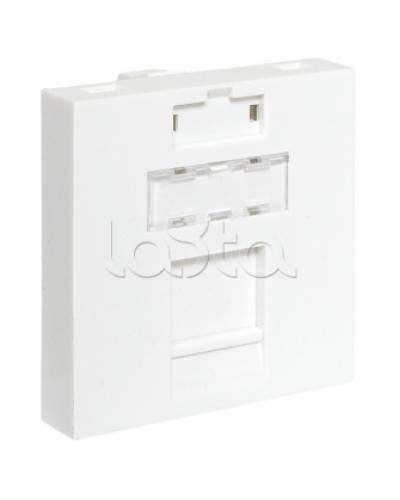 Вставка розеточная TERACOM PRO 45x45мм формат Mosaic на 1 модуль Keystone белая EKF (TRP-INS-MOS-2M1P-WH) в Октябрьском Розетки компьютерные и телефонные Pintop.ru