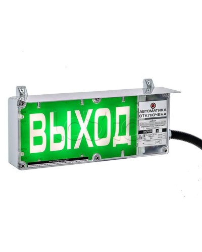 Оповещатель световой Эридан Экран-С-ККВ К1 12-24 VDC ВЫХОД цвет фона белый (КВМ20+ЗГ+ЗГ) в Октябрьском Взрывозащищенное оборудование (Ex) Pintop.ru