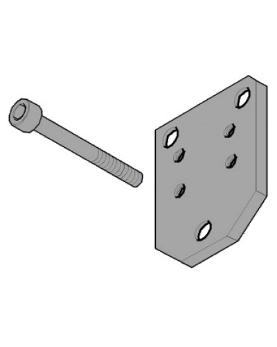 Пластина монтажная FLEX Came 119RID143 в Октябрьском Запчасти для шлагбаумов и автоматики Pintop.ru
