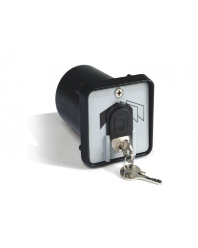 Ключ-выключатель с защитой цилиндра, встраиваемый Came 001SET-K в Октябрьском Запчасти для шлагбаумов и автоматики Pintop.ru